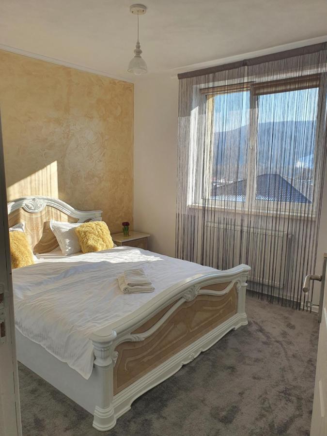 Apartament Tiron In Centru Orasului Ґурагумора Екстер'єр фото